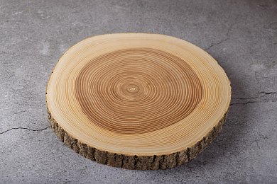 Сырное плато большое