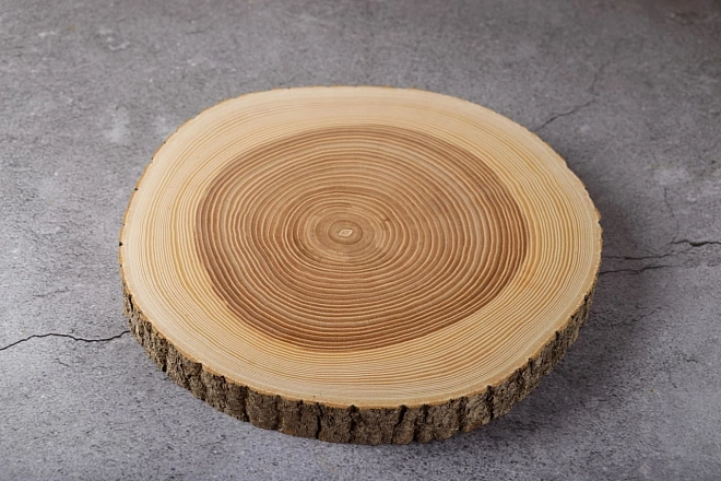 Сырное плато большое